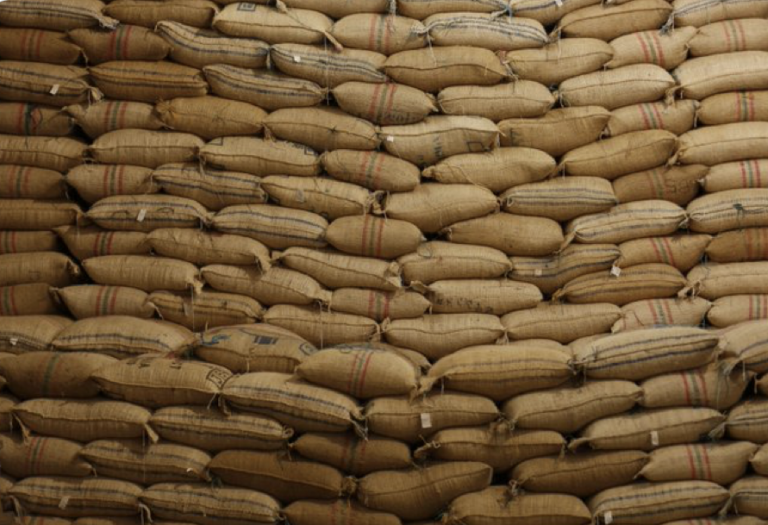 Producción cafetera del país arrancó estable en 2026